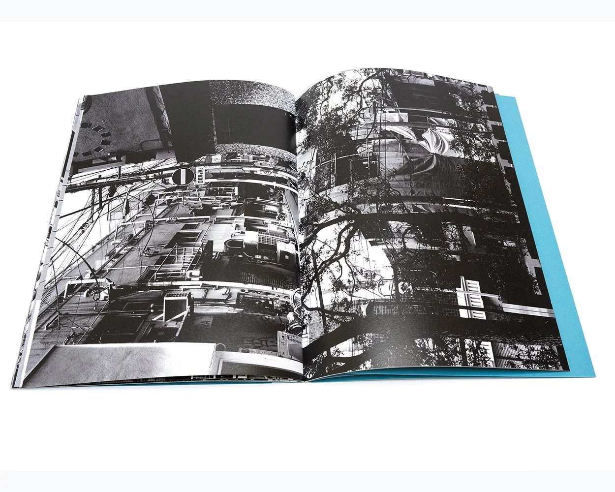Los Alamos by William Eggleston — bookdummypress
